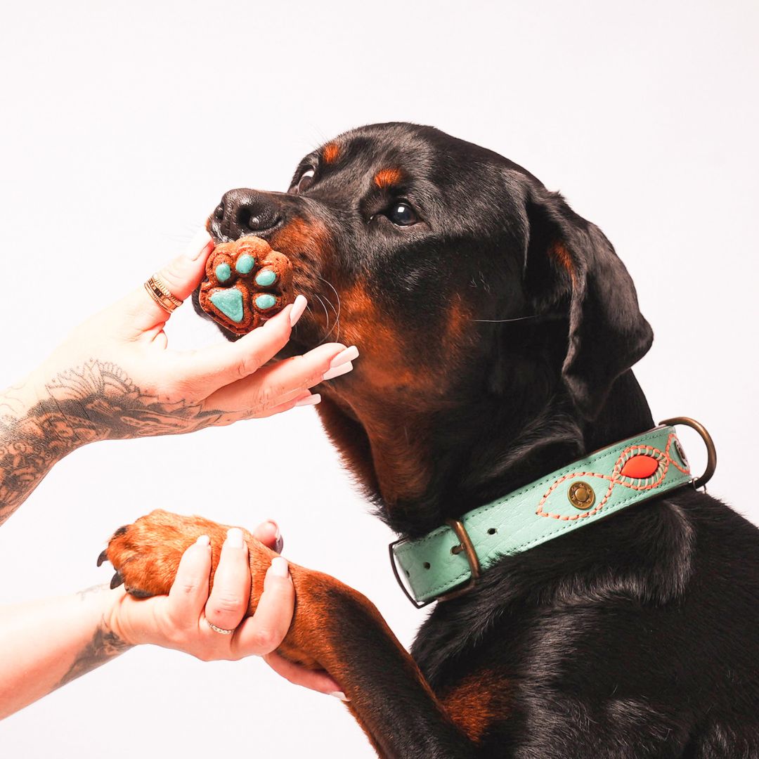 Sac à Main Pâtisseries Chien - Donuts/ Patte de Chien - Pomme Banane Miel