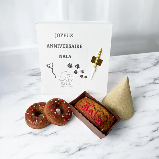 gâteau anniversaire os pour chien