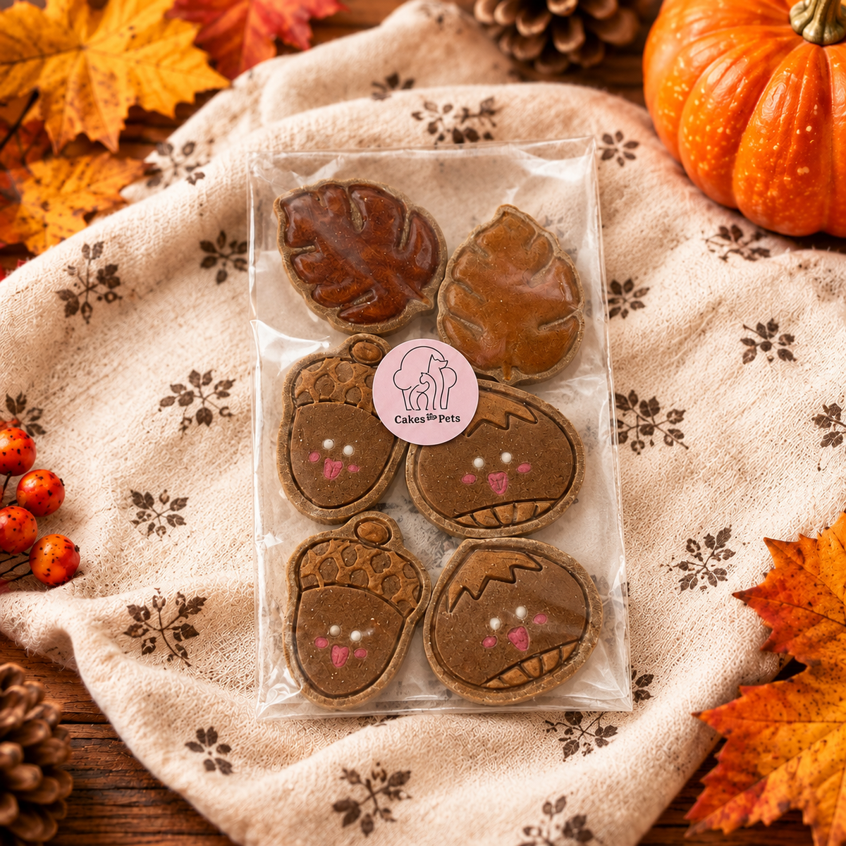 Biscuits d'Automne pour chien - 6 piĂšces