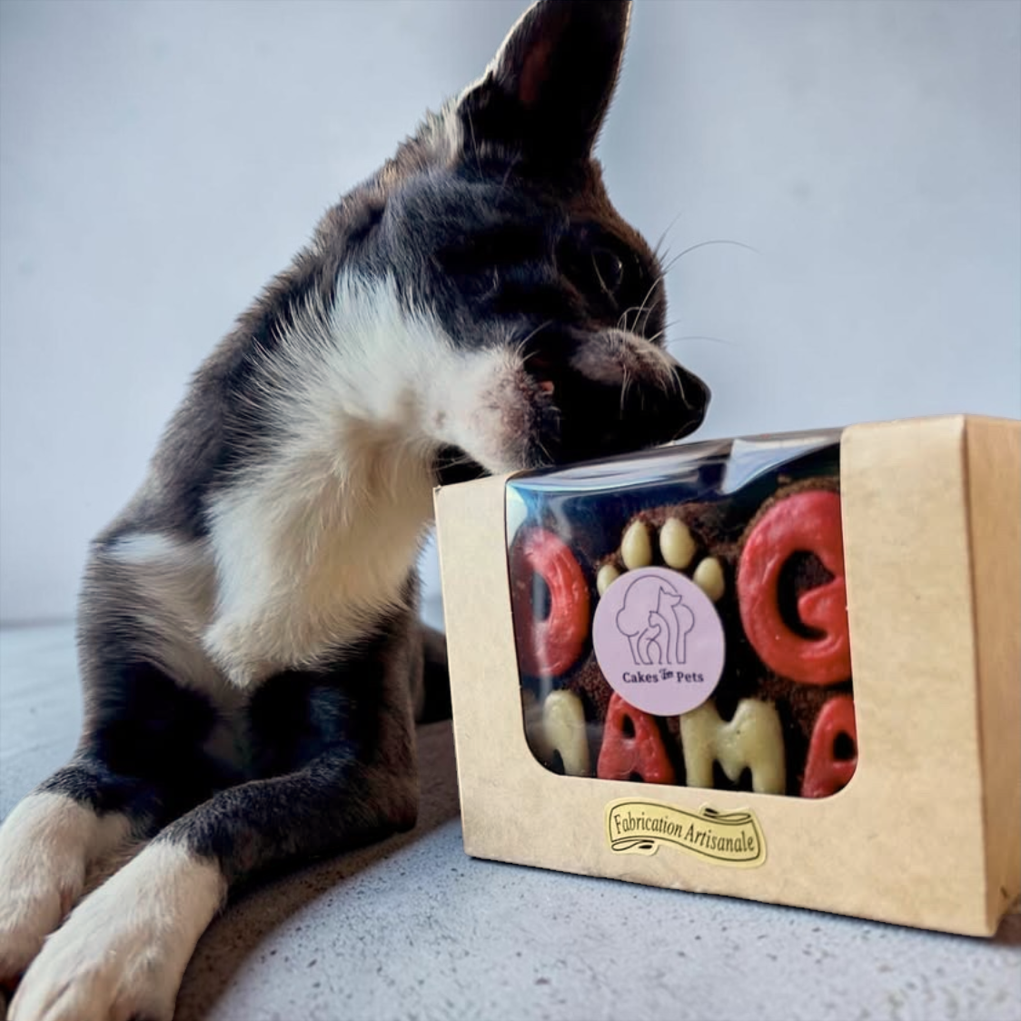 Dog Pastry Box - Waffle - Apple Banana Honey