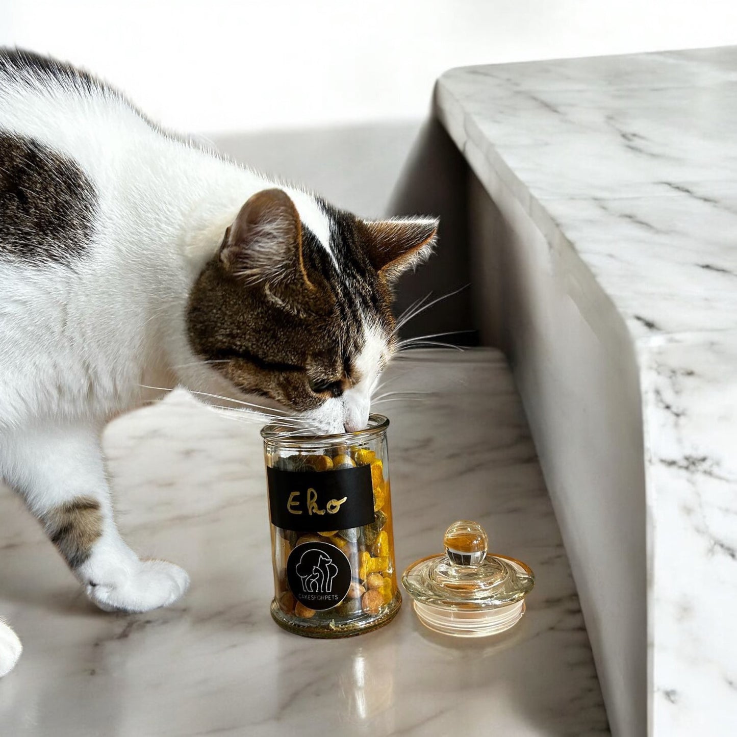 Bonbonnières Friandises Chien & Chat