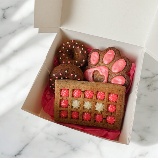 Gâteau Anniversaire Chien - Boîte XL