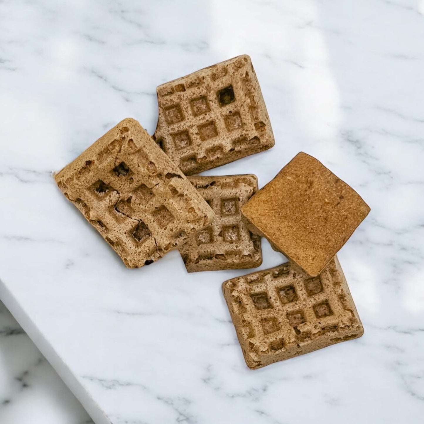 friandises - biscuits pour chien