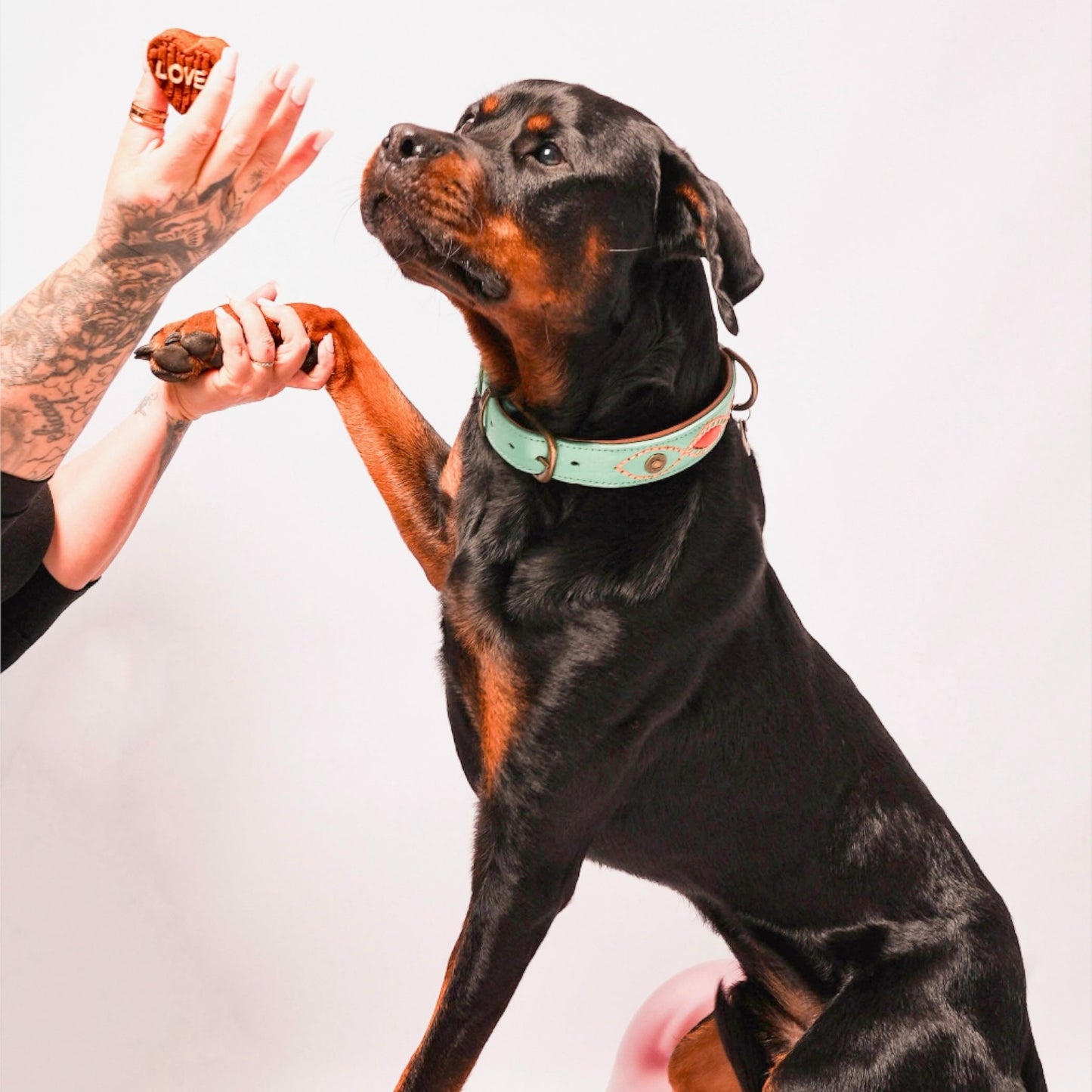 Boxe Pâtisseries Chien - Bonbons - Pomme Banane Miel