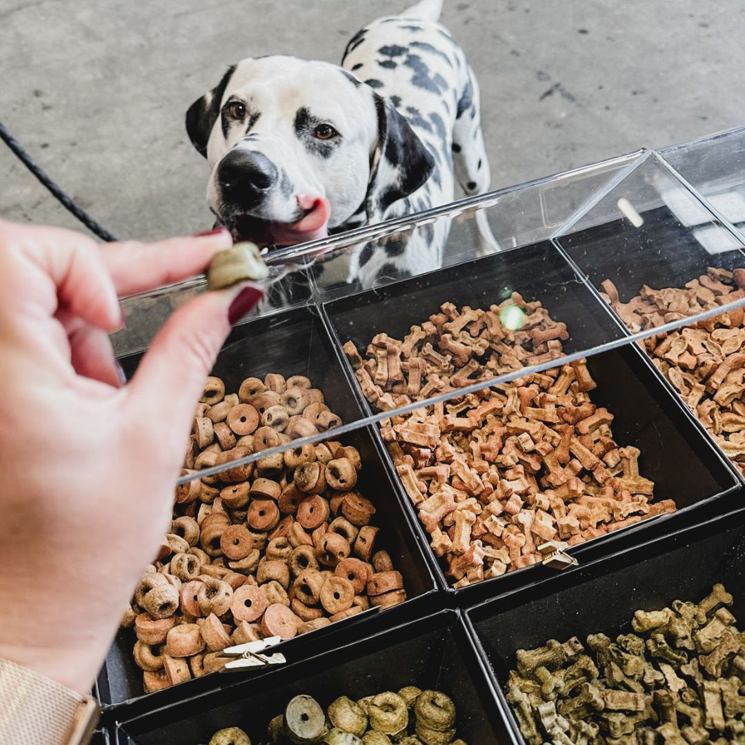 Dog &amp; Cat Treats - Donuts