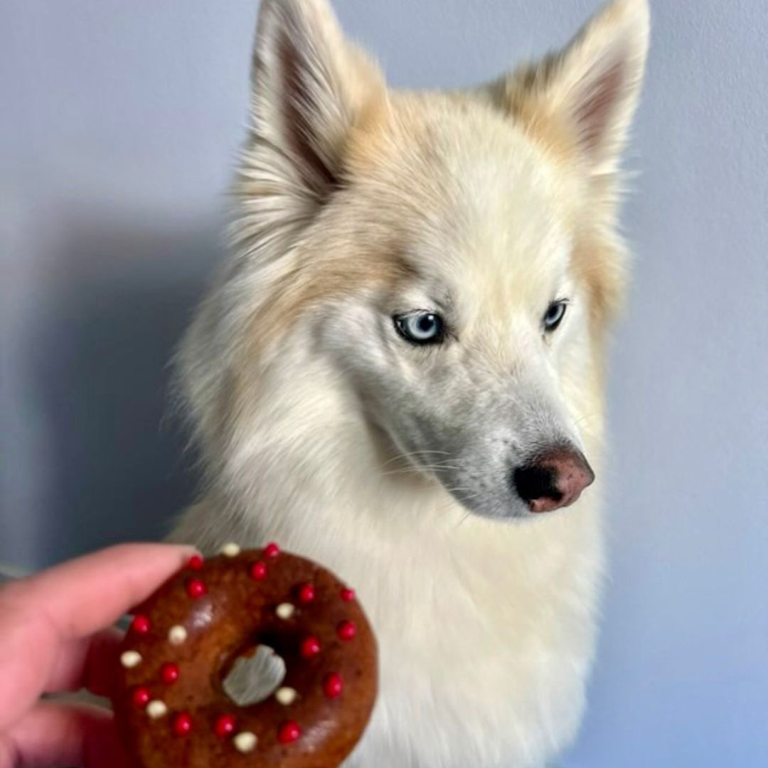 Sac à Main Pâtisseries Chien - Donuts/ Patte de Chien - Pomme Banane Miel
