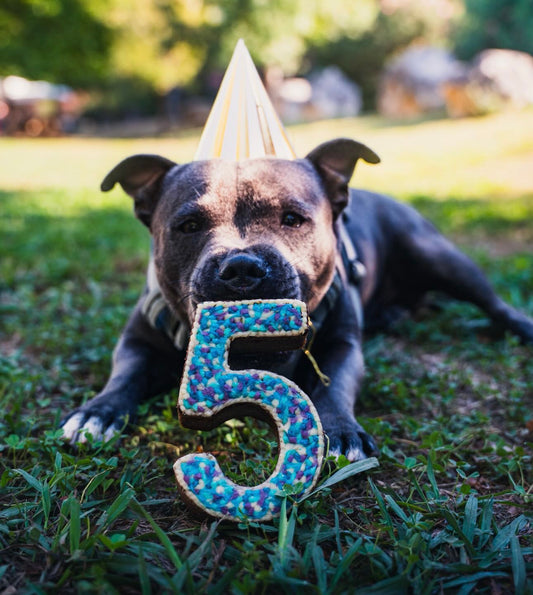 Gâteau Anniversaire Chien - Number Cake
