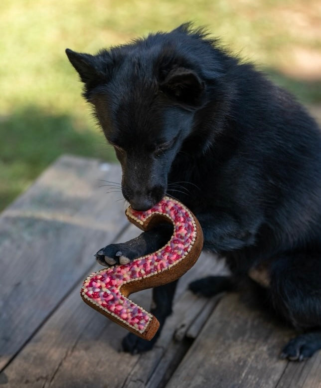 Number Cake Chien