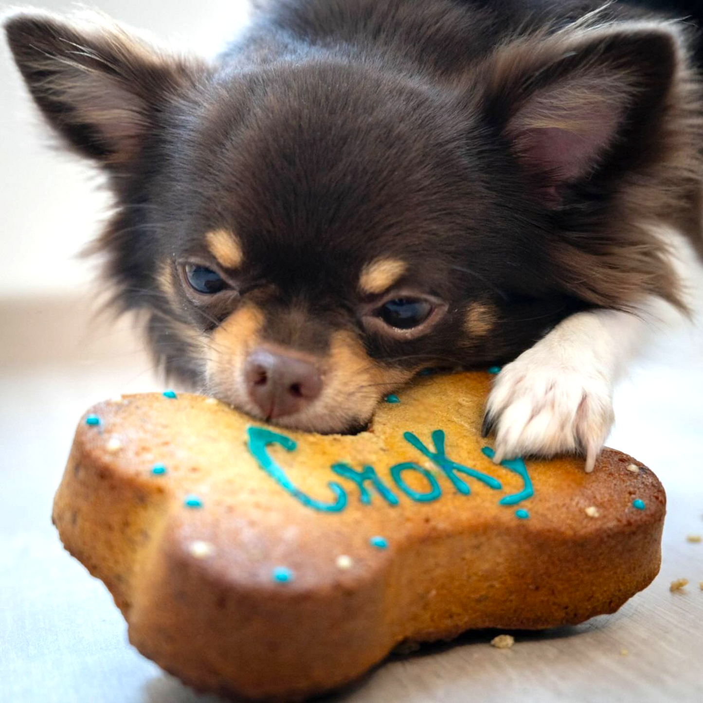Dog Birthday Cake - Bone