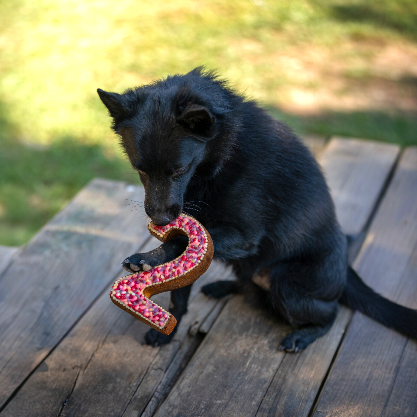 Gâteau Anniversaire Chien - Number Cake