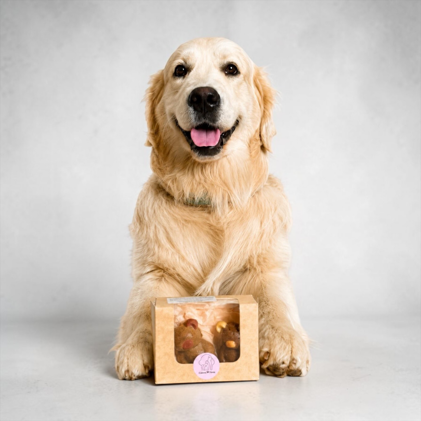 Dog Pastry Box - Waffle - Apple Banana Honey