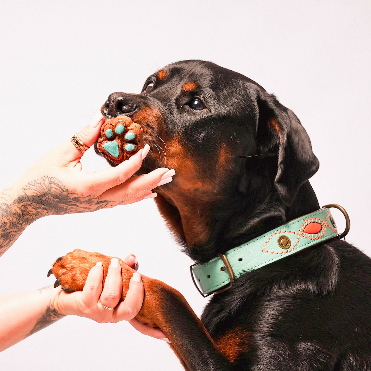 Dog Pastry Box - Donuts/Dog Paw - Apple Banana Honey
